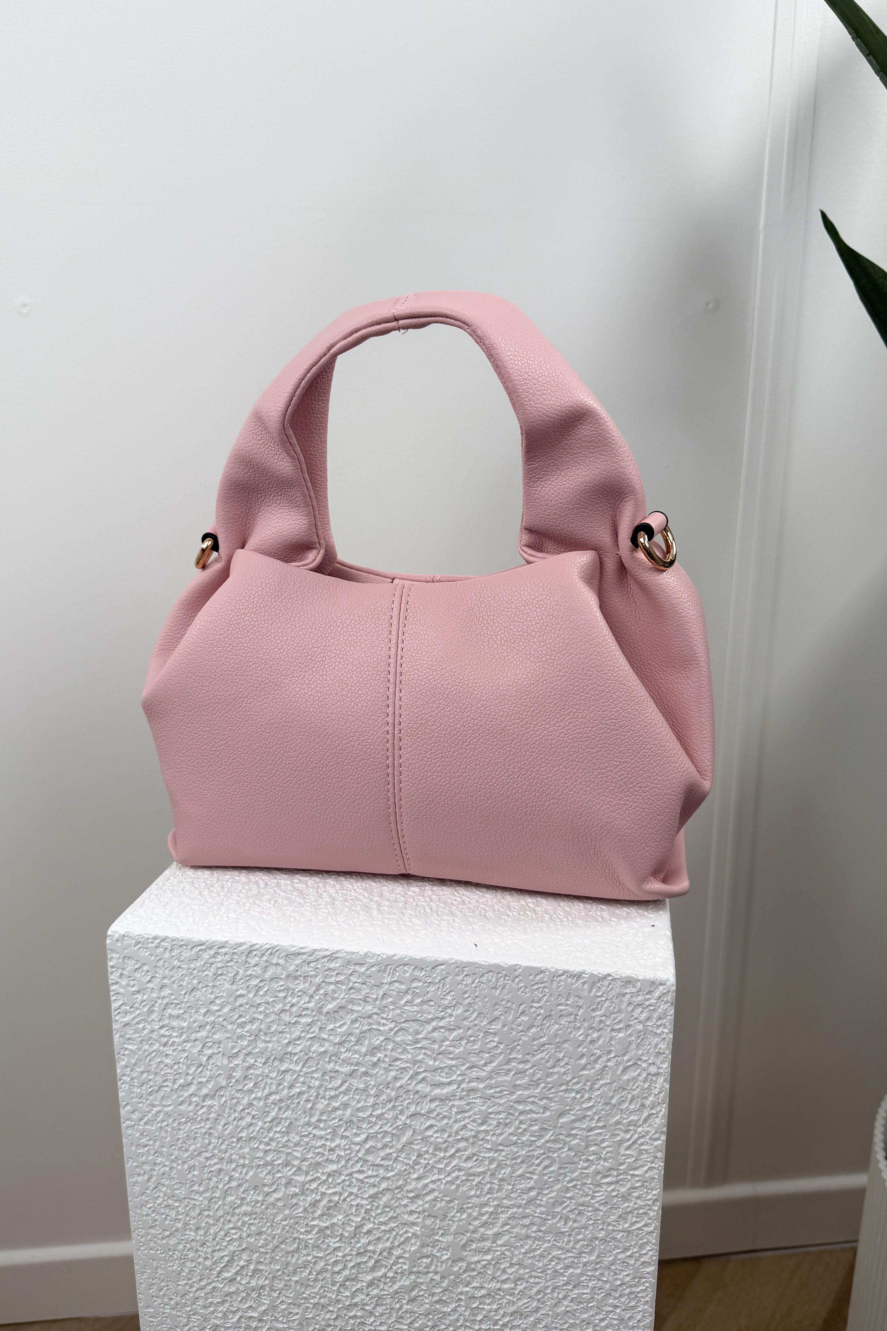 SAC POLLY